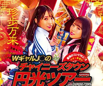 blk-566 中国城之旅